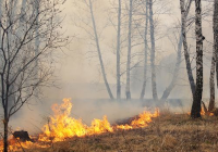 Vai all'area tematica catasto incendi boschivi